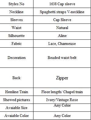 1638 Cap sleeve.png